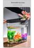 Clear Plastic Fish Tank for Desktop Landscaping - Turtle, Goldfish, Micro Ecosystem Aquarium