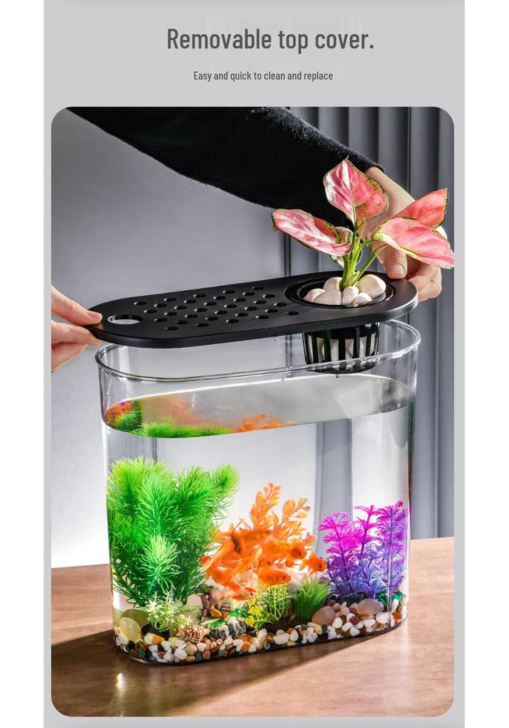 Clear Plastic Fish Tank for Desktop Landscaping - Turtle, Goldfish, Micro Ecosystem Aquarium