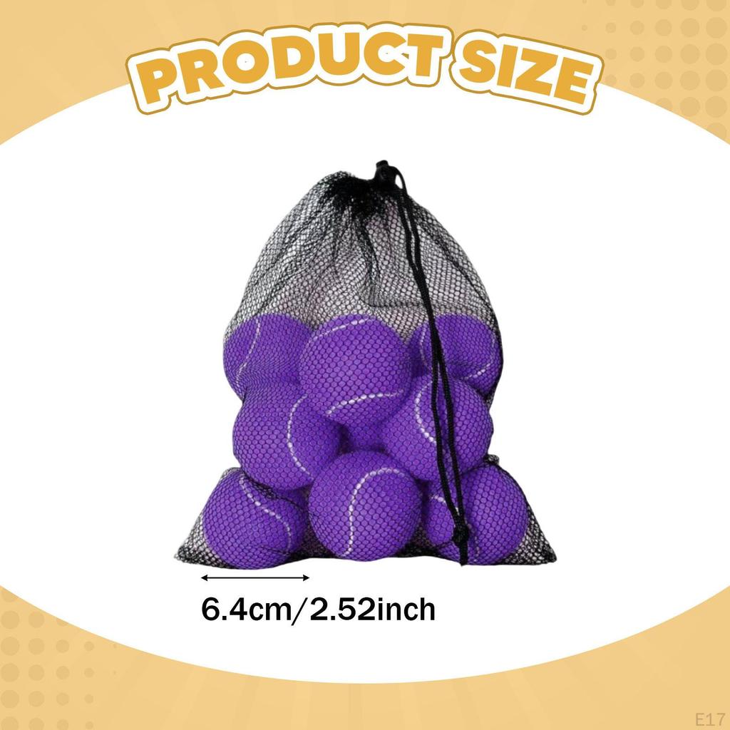 10 Pieces Tennis Balls with Storage Mesh Bag Workout for Pet Dog Adults Kids Yellow
