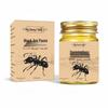 In-Stock Black Ant Moxibustion Paste for Neck, Shoulder, Waist, Leg, Joint, and Massage Relief.