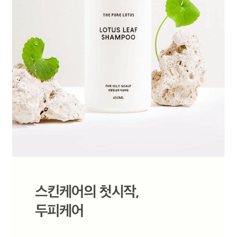 THE PURE LOTUS - Lotus Leaf Shampoo For Oily Scalp Jumbo