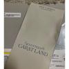 Used SEVENTEEN acrylic stand 2024 carat land