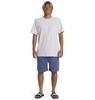 Quiksilver Men's Casual Shorts, Washed, Basic Colors, Classic Stretch Walk Shorts (BQY0)