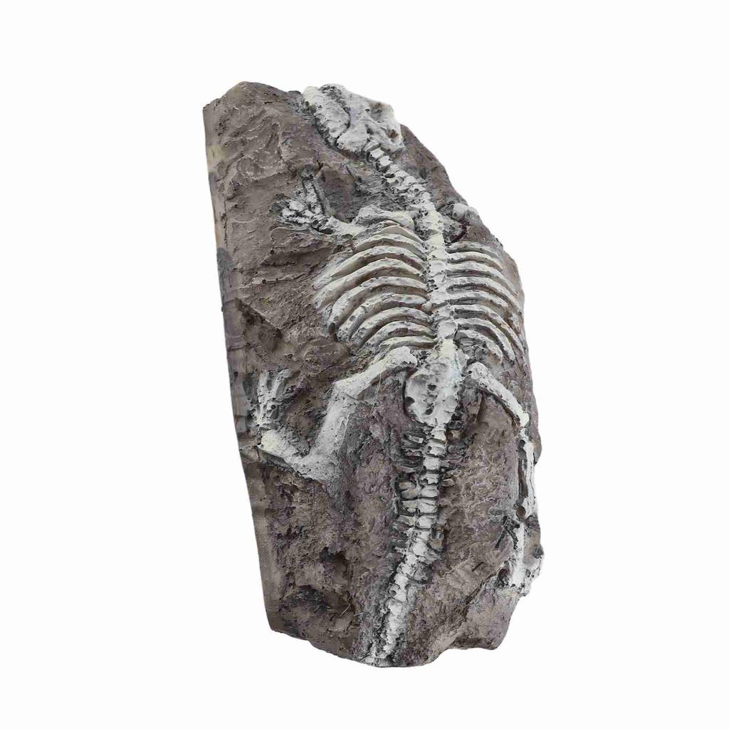 Aquarium Dinosaur Reliquiae Decoration Reptile Resin Dinosaur Reliquiae Rock   for Fish   Aquarium