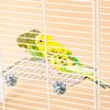 Pet Parrot Stainless Steel Rest Jump Platform Stand Board Chew Bite Toys Stick Tree Branch Stand Rack Bird Cage Accessories