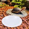 Turtle Bathing Pool Reptile Feeding Dish Landscape Anti Slip, Aquatic Climbing Pet Aquarium