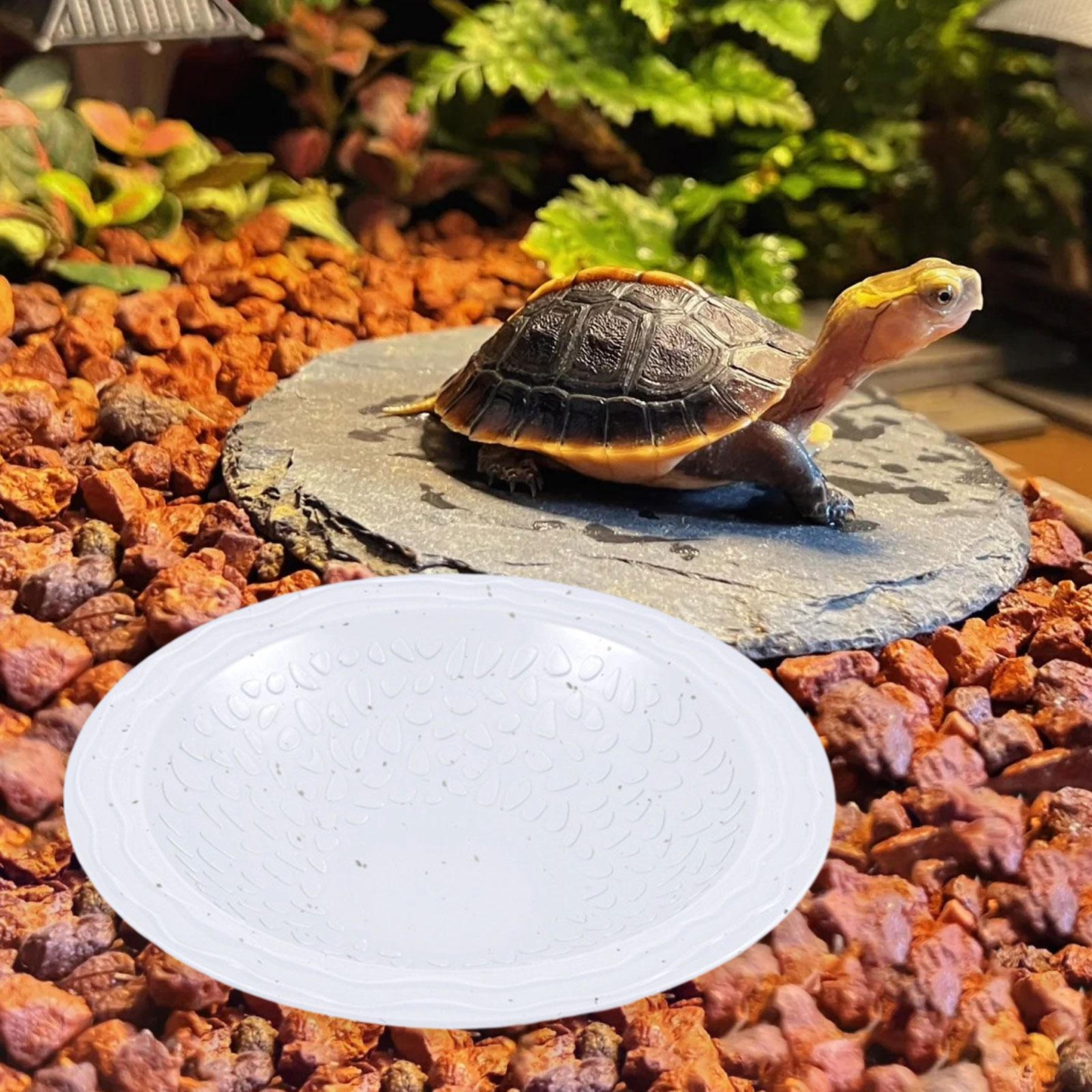 

Бассейн для купания черепах, кормушка для рептилий, ландшафт, противоскользящий, аквариум для водных лазающих питомцев