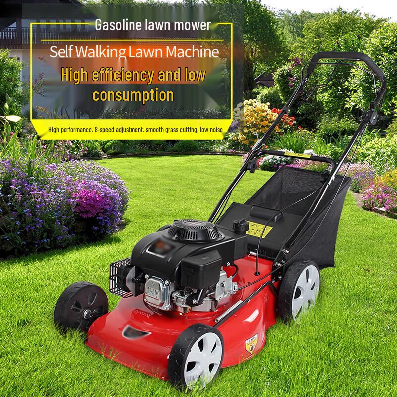 20-inch 4-Stroke Self-Propelled Gasoline Lawn Mower