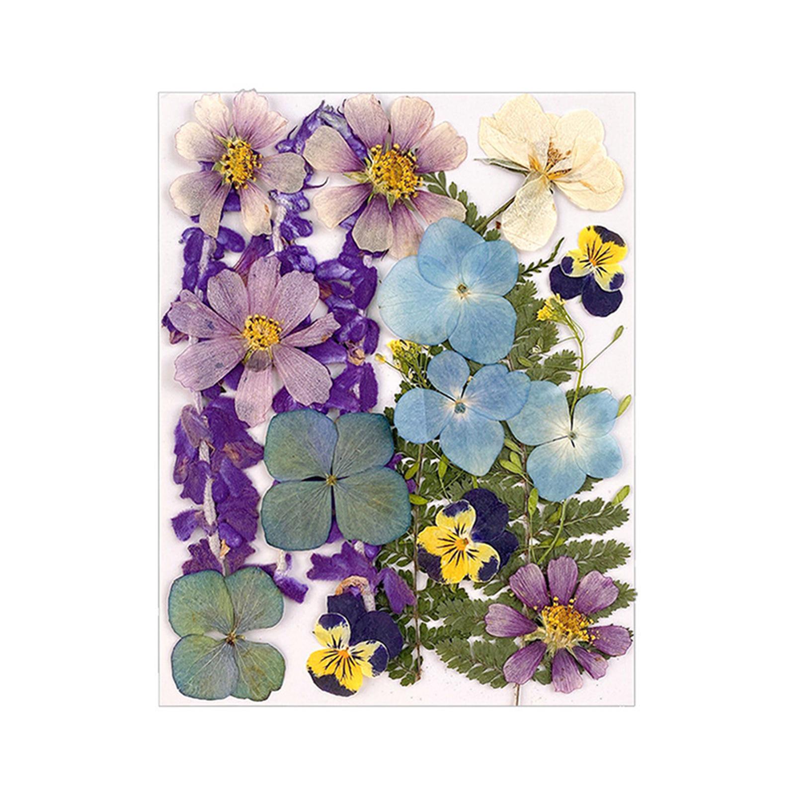 

1 мішок засушених квітів своїми руками Пресовані квіти наклейки для чохла телефону Виготовлення ювелірних виробів Ремесло Декор для нігтів 49#