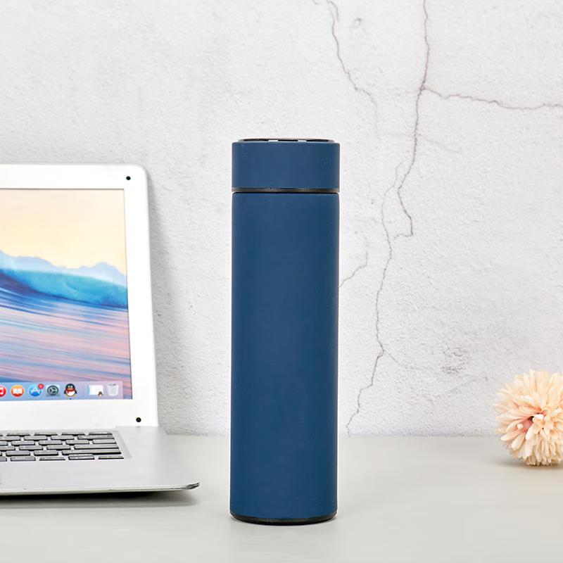 BEANBEANLOVE Smart LED Temperature Display Insulated Bottle