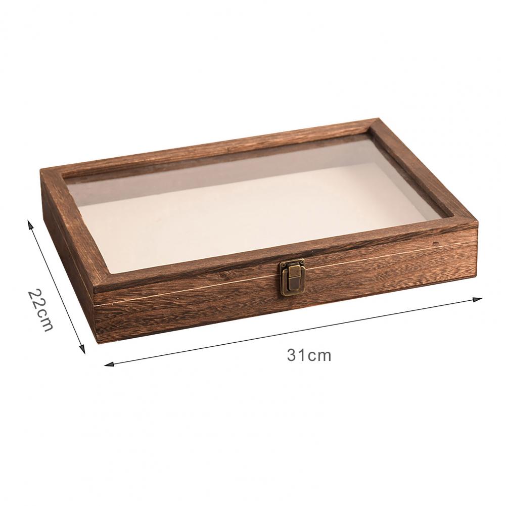 Wooden Display Case Butterfly Shadow Box Multiple Sizes Large Insect Specimens Storage Display Case High-quality Display Cabinet