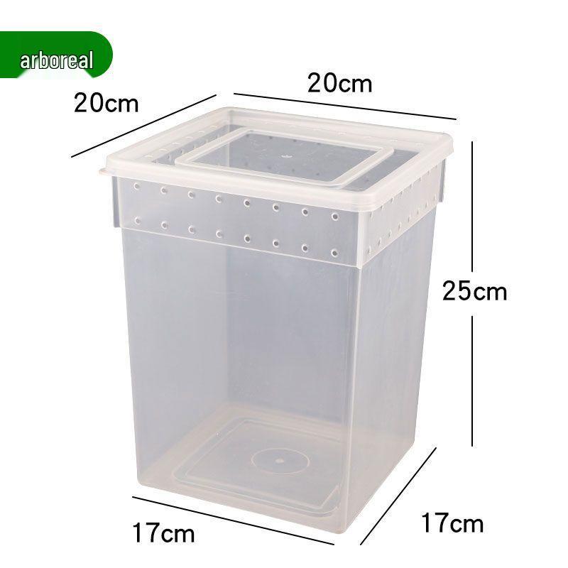Large Reptile & Amphibian Terrarium with Hide for Snails, Spiders, Geckos, Frogs, and Turtles
