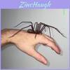 Plastic Spider Decoration For Halloween Parties And Themed Events