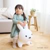 Ides Bruna Bonbon Rabbit White Plush Toy for Ages Perfect for Indoor Includes Air Pump [Official] Ride-on 3+, Balancing, Play, Gift,
