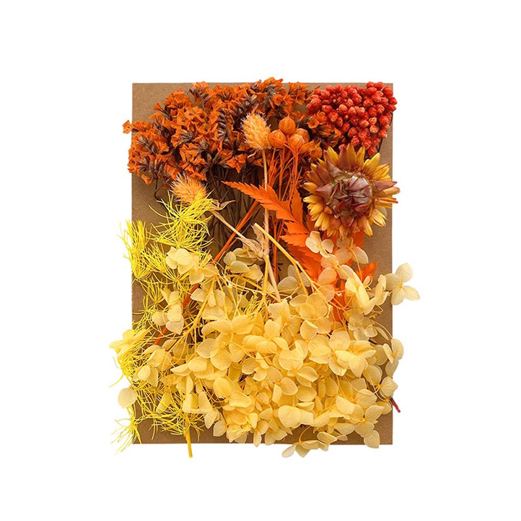 1 Bag Dried Flowers Pressed Dry Flower For DIY Phone Case Epoxy Resin Filling Pendant Jewelry Making Crafts Nail Art Decor