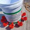 10/20Pcs Chicken Duck Drinking Cup Automatic Drinker Chicken Feeder Plastic Poultry Farm Water Drinking Cups Easy Installation