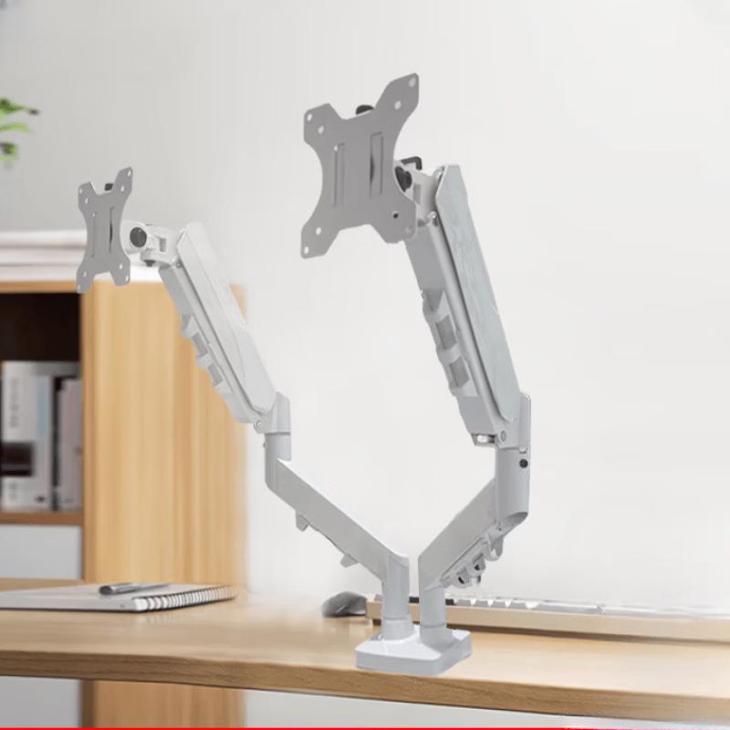 OLOEY Dual Monitor Arm Stand