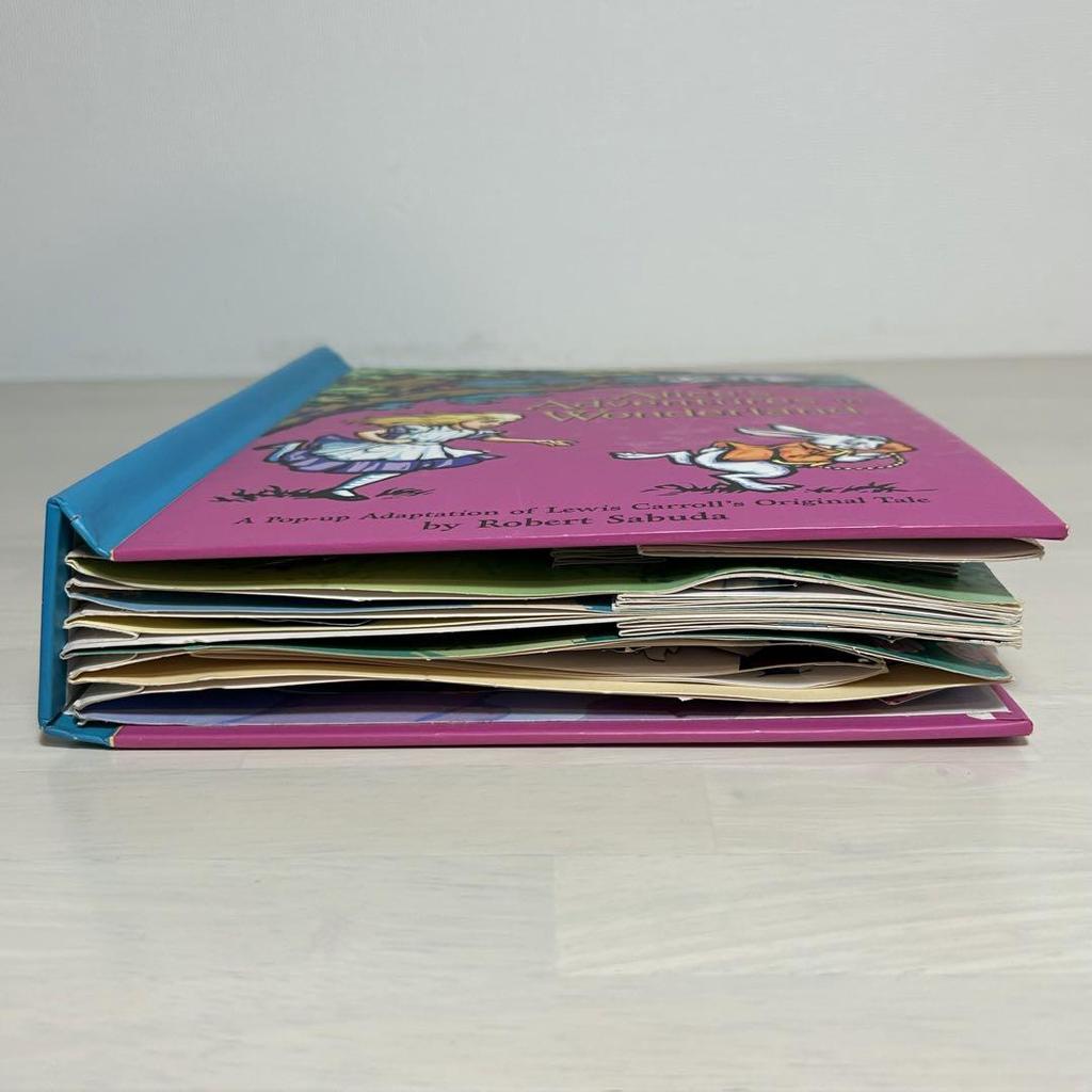 [USED] Alice's Adventures In Wonderland English Picture Book