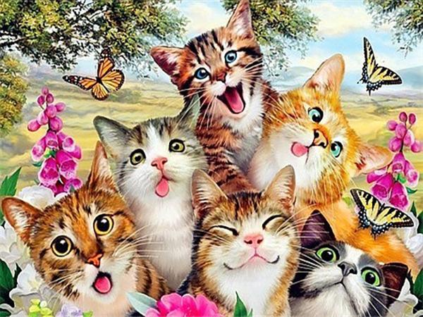 DIY Diamond Painting Cat Full Round Diamond Mosaic Animal Cross Stitch Embroidery Picture Of Rhinestones Wall Decor