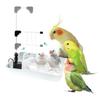 Easy-to-use Mini Shower Waterer for Parakeets, Birds, Cats, and Other Small Animals. Simple and Clean Design.