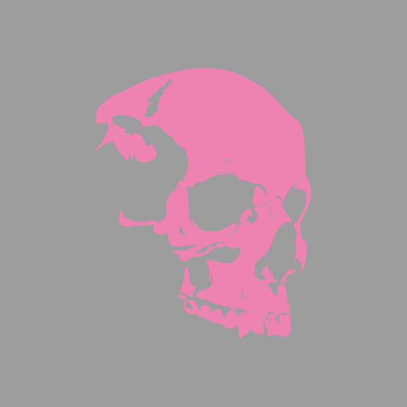 Craniu schelet cu textură avansată, modele aventură în aer liber, autocolante aventură în aer liber, decorațiuni cu tematică natură, vinil durabil