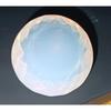 Natural White Opal 100 Ct+ Round Cut Certified Stunning Loose Gemstone