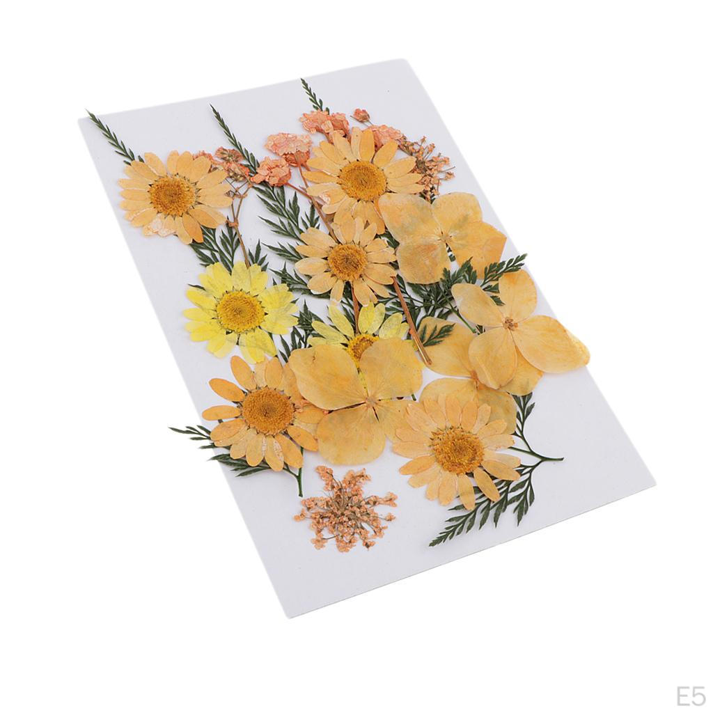 25 Dried Flowers Leaves for Nails Handmade Resin Jewelry Making Materials