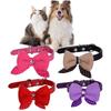 Pu Bowknot Leather Dog Collars Adjustable Puppy Pet Cat Necklace Decoration Neck