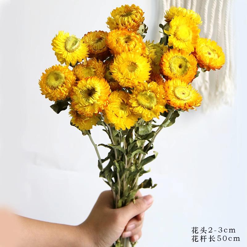 

Daisies dried flower bouquet decorative ornament shooting props natural real flower arrangement bedroom dried bouquet