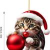 Ornament Set 10 Stück Acryl Weihnachtsbaumschmuck, Perfektes Geschenk für Katzenliebhaber und Weihnachtsbegeisterte X3UC