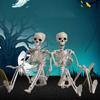 Parties Accessories Halloween Props Skeleton Model Human Bones Car Rearview Mirror Pendant