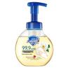 Safeguard White Tea Foaming Hand Wash