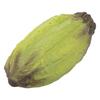 Nihon Sample Food Sample: Cacao Fruit B (Fruit Specialist, Green) Dimensions: 185mm (W) X 65mm (H) X 80mm (D) AU503433070