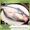 Xiangtai Hainan Back-Cut Basa Fish Fillet