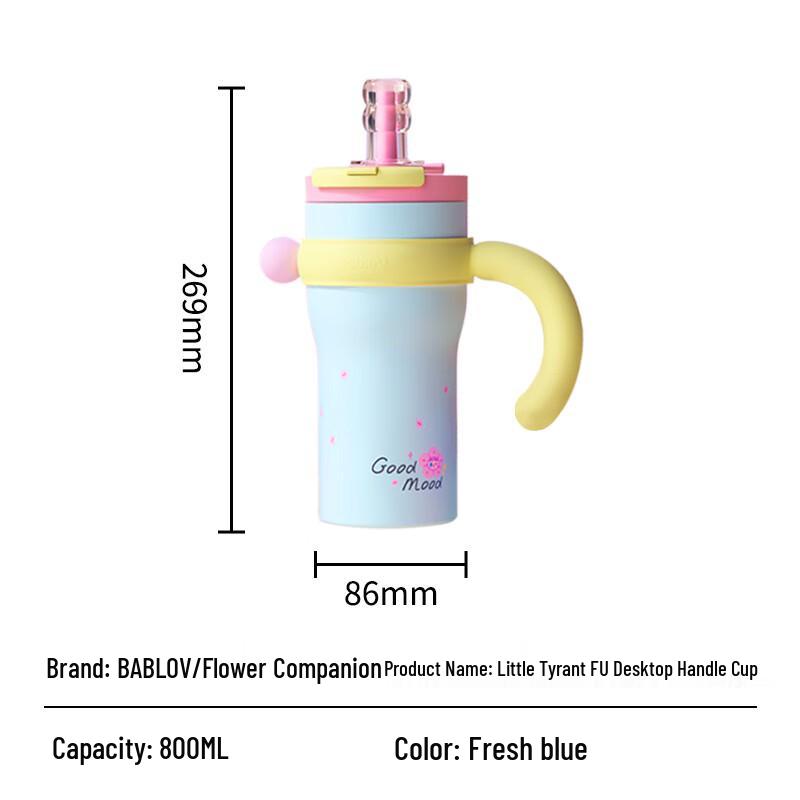 BabloV 316 Stainless Steel Insulated Straw Tumbler