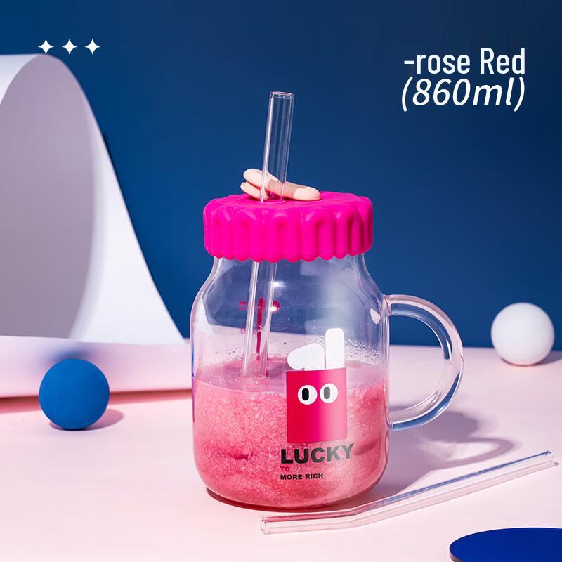 Dillerbell Cold Brew Coffee Glass with Handle