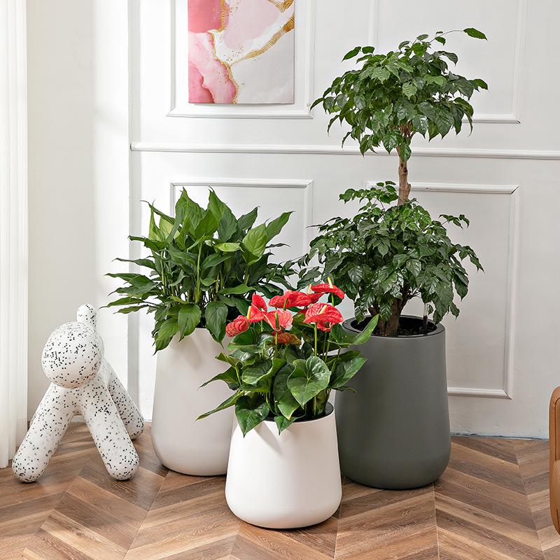 Nordic Creative Self-Watering Large Round Rattan Style Indoor Flower Pot for Green Plants