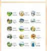 Beginner's Guide To Watercolor Landscape Painting: Complete Tutorial Collection