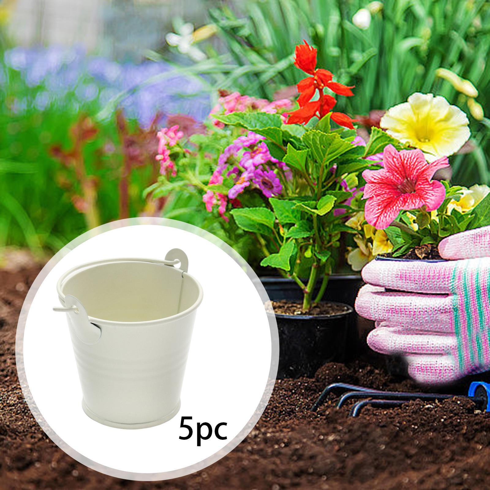 

5 Pack Galvanized Metal Buckets, Decorative Table Centerpiece, Home Decor, Organization, Sturdy білий