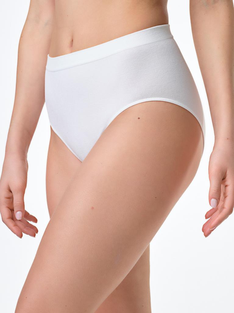Women's High Waist Briefs Underwear Comfortable Everyday White Women's High Waist Briefs Underwear Comfortable Everyday White