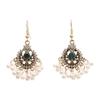 Minority Style Pearl Tassel Ear Hook Bohemian Diamond Flower Earrings Women's Light Luxury Temperament Earrings