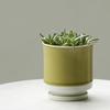 Leaf88 Hasami Ware Flower Pot with Size and Japanese-Made Saucer, 10.5x11.5cm, 3.5 (Mustard White)