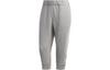 Sports Pants Women's Gray Moderate FL2363