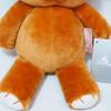 [USED] Peter Pan Michael Michael's Bear Teddy Bear Plush Toy