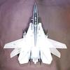 Tamiya 1/32 Aircraft Series No.13 US Navy Grumman F-14A Tomcat Black Knights Model 60313 (22.375" Length)