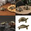 Brass Turtles Shelf Decors Accent,Animal Figurines Tabletop Centerpieces Home Decorations Turtles Decorative Objects