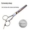 Professional German Hairdressing & Thinning Scissors for Stylists