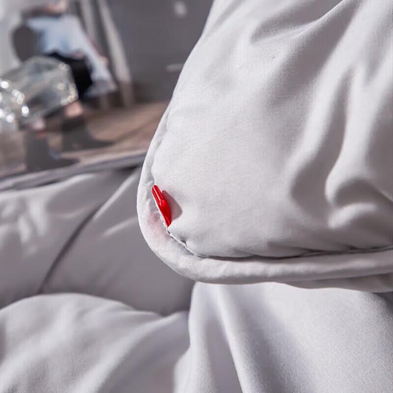 NanJiren Polyester Winter Quilt