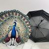 1PC peacock feathersAutomatic Open/Close Umbrella with Windproof, 8-Rib Sturdy Canopy, Durable Ribs, Fashionable Design1295A