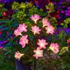 Plug-in Landscape Lawn Lamp Waterproof Garden Lights Creative Flower Solar Floor Lamp  Courtyard